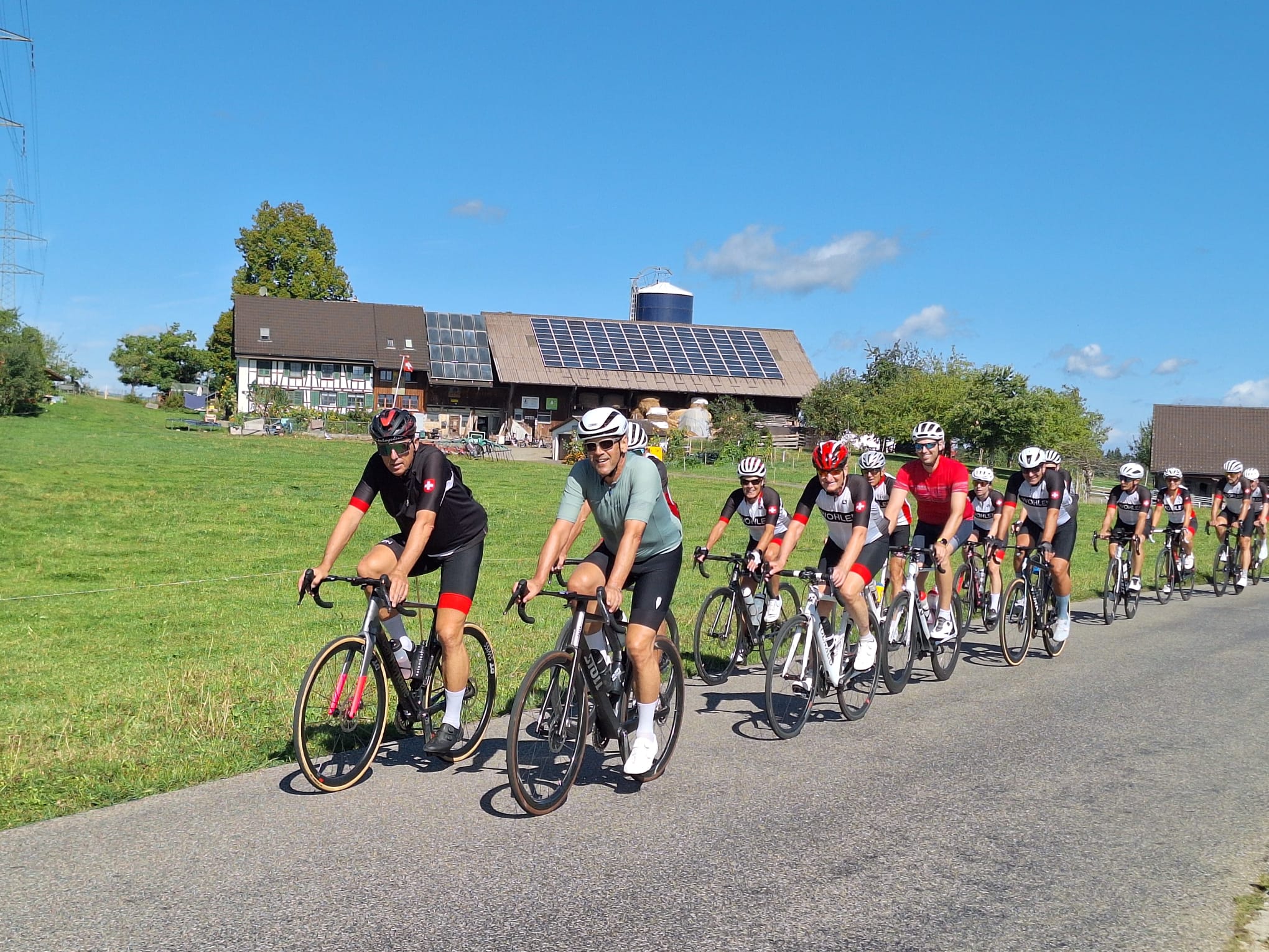 Albis Peloton